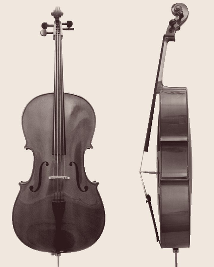 Cello at Sonora